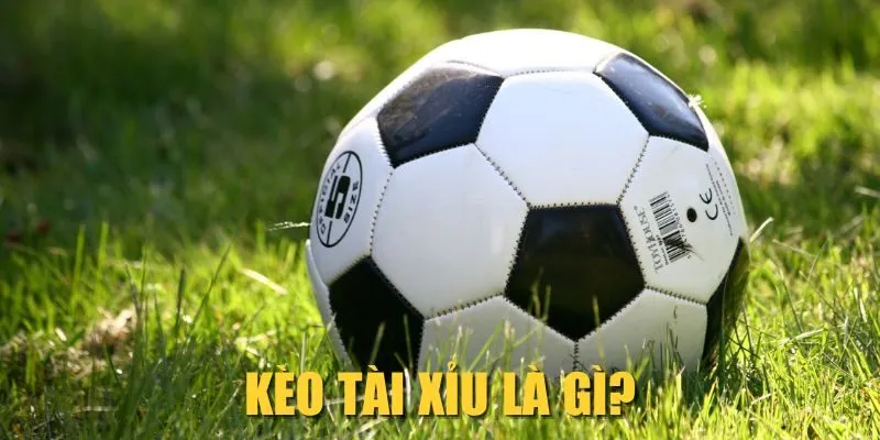 Kèo Tài Xỉu Là Gì? Bí Kíp Đọc Kèo O/U Chuẩn Chỉnh 2025